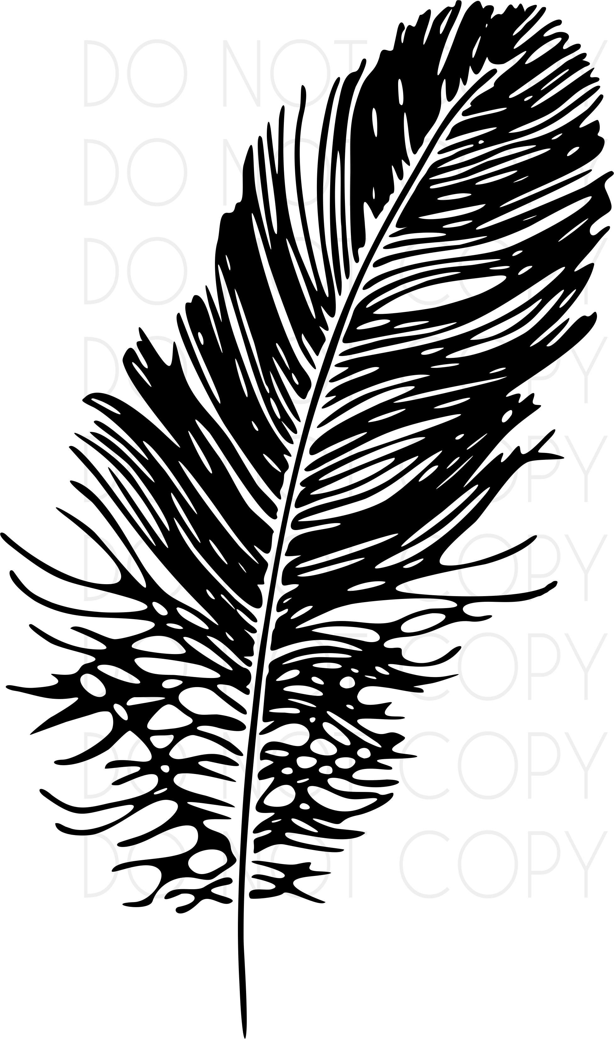 Download BOHO Feather SVG Cut and Print instant download digital ...